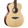 gros plan guitare folk couleur naturel