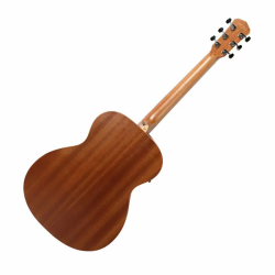 vu arrière guitare folk