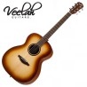 guitare folk pour débuter