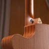 gros plan guitare folk