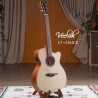 guitare folk électro acoustique pour débuter