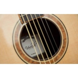 gros plan guitare folk electro acoustique