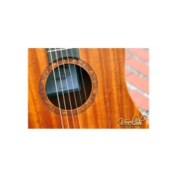 gros plan guitare folk de voyage