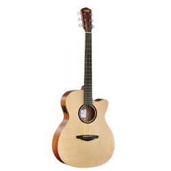 guitare électro acoustique pour débutant