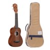 ukulélé acoustique avec housse