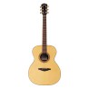 folk guitare pour musicien confirmé