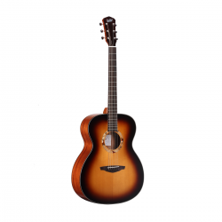 belle guitare folk pour débutant