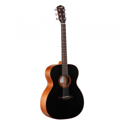 guitare folk pour débuter