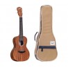 ukulélé acoustique avec housse incluse
